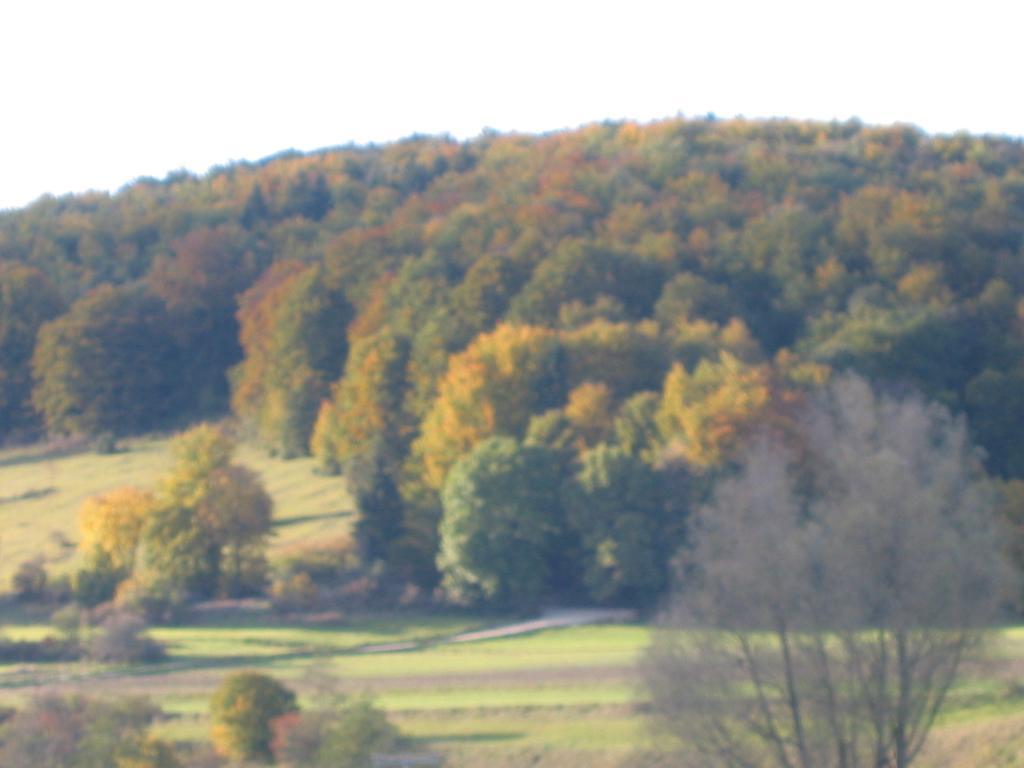Gasthof Zum Lamm Gomadingen Экстерьер фото